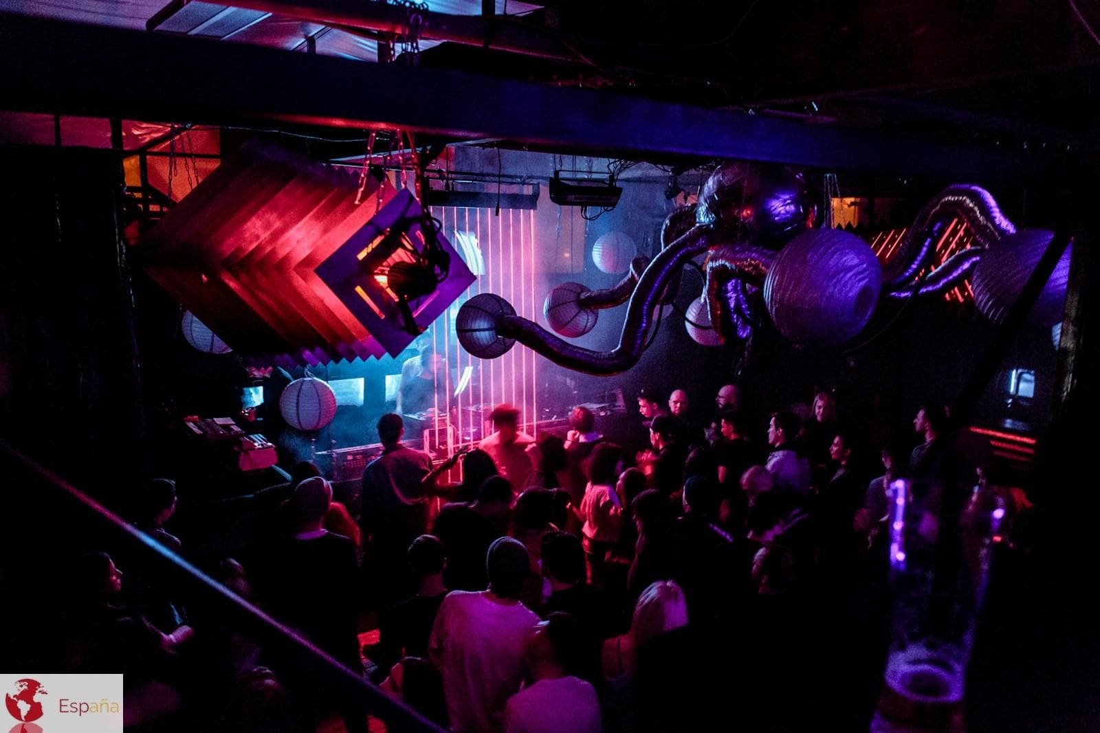 group of person in disco